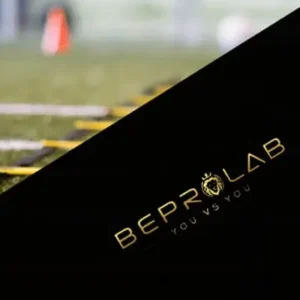 BEPROLAB - Under development III...