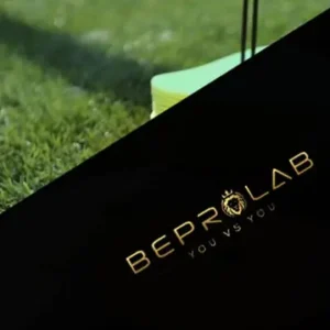 BEPROLAB - Under development I...