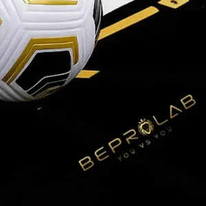 BEPROLAB - Under development II...